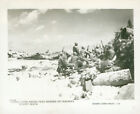 1943 WWII USMC Marines taking cover on Tarawa  Beach Official Photo Co