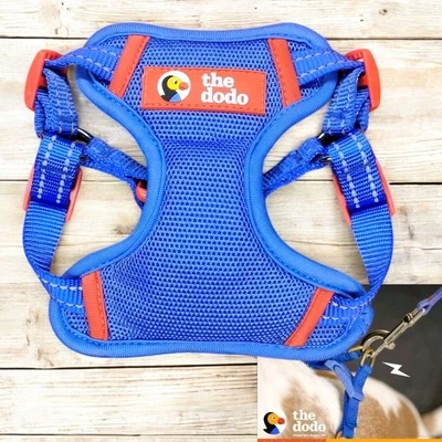 X Small Pet Harness Reflective Puppy  Padded Safety Vest Collar Dog - Image 1 of 4