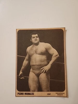 Tarjeta coleccionable de la revista WRESTLING SUPERSTARS 1981 PEDRO MORALES WWWF WWF WWE Foto 1 de 2