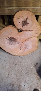Holzscheibe Buche tolle Optik Baumscheibe Tischplatte ca 72x64x6 frisch sägerauh - Bild 1 von 4