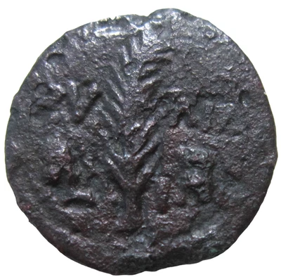 JUDAEA. BRONZE PRUTAH. VALERIUS GRATUS, 15-26 AD. UNDER TIBERIUS. PALM BRANCH. - Image 1 of 3