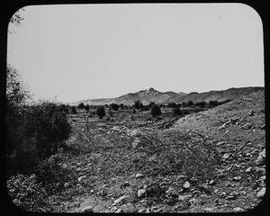 THE PLAINS OF JERICHO PALESTINE C1890 ANTIQUE Magic Lantern Slide PHOTOGRAPH - Picture 1 of 3