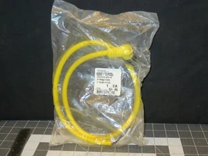  WOODHEAD 102001A01F030   2P 3' 90D 16/2 PVC - Picture 1 of 4