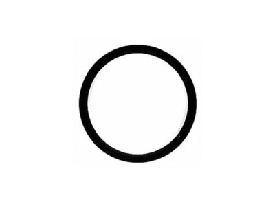 Junta termostática para Dodge D250 1989-1993 86414RKNF 1992 1990 1991 5,9 L 6 cilindros Foto 1 de 2