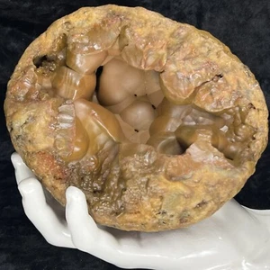 5-3/4” Unique Botryoidal Chalcedony Agate Geode Quartz Kentucky 3Lb Red Brown - Picture 1 of 7