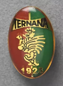 Distintivo Spilla Ternana Calcio 1925 Serie B Soccer Vintage - Foto 1 di 2