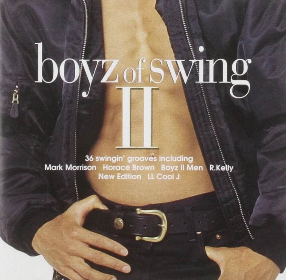 Various Boyz Of Swing II CD