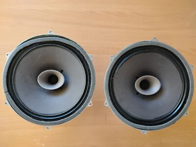 Altavoz 25TV-GD de 10 pulgadas (8 ohmios)- Raro Un par Foto 1 de 4