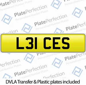 L31 CES LEICES LEICESTER CITY TIGRES QUERIDOS MATRÍCULA PRIVADA DVLA REG - Imagen 1 de 1