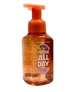 1 BATH & BODY WORKS FROSE ALL DAY GENTLE FOAMING HAND SOAP WASH 8.75 FL OZ NEW - Picture 1 of 3