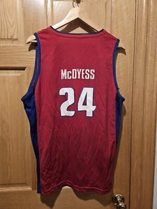 Vintage Antonio McDyess #24 Detroit Pistons Red NBA Basketball Jersey Size Large - Picture 1 of 3