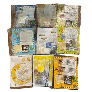 LOT OF 9 - Magic School Bus Crafts Experiments Ms. Frizzle Science Homeschool - Bild 1 von 4