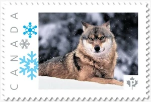 LUPO sulla neve ** Foto affrancatura MNH Canada 2019 p19-04-s12 - Foto 1 di 2