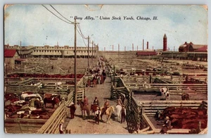 Postcard - Union Stock Yards - Chicago Illinois - Picture 1 of 2