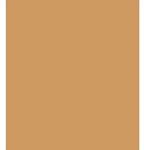 EasyWeed Heat Transfer Vinyl HTV for T-Shirts 12 Inches by 3 Feet Roll (Tan) - Picture 1 of 1