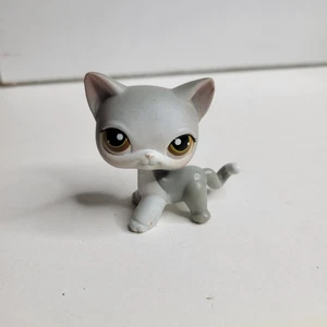 LPS Littlest Pet Shop #138 gatto a pelo corto bianco grigio animali domestici portatili - Foto 1 di 4