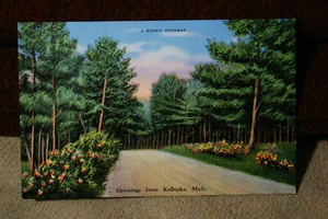 Grüße aus Kalkaska, Michigan - Bild 1 von 2