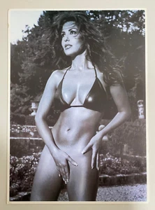 SABRINA FERILLI Poster Locandina Plastificata 31x43 - Picture 1 of 1
