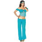 Arabian Princess Costume Adult Jasmine Halloween Fancy Dress