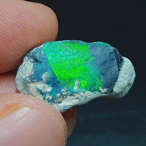 7,80ct Vivid Neon Green Fire Ethiopian Smoked Black Opal Rough - 22x11x10mm - Bild 1 von 5