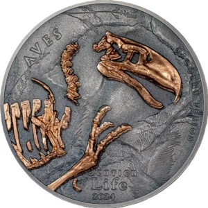 Aves, Evolution of Life, 500 Togrog, Mongolia 2024 plata - Imagen 1 de 4