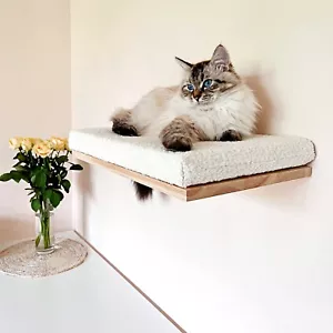 Półka ścienna dla kota, legowisko dla kota, 23,5'' (60 cm) / 12,3 '' (31 cm), półki dla kota - Zdjęcie 1 z 12