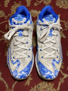 lebron james floral shoes