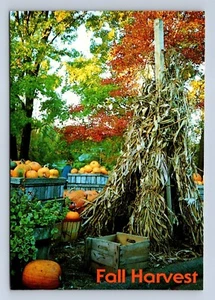 New England-Harvest Time Postcard By Betty Bowman S-1140 Unposted - Picture 1 of 2