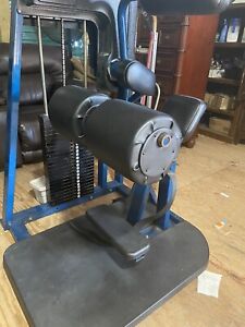 Nautilus Generation 1 Lower Back Commercial Gym Equipment