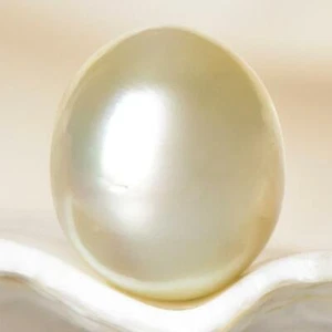 Crema ovalada Perla del Mar del Sur 12,53 mm Maluku Indonesia 2,00 g sin perforar - Imagen 1 de 7