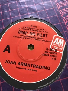 Joan Armatrading - drop the pilot 45 single - Picture 1 of 1