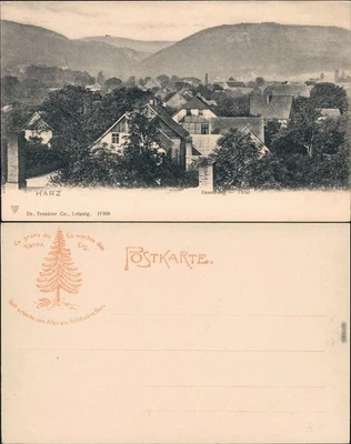 Ansichtskarte Ilsenburg (Harz) Blick über die Stadt - Straßenblick 1909 - Bild 1 von 3