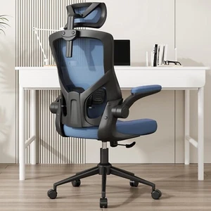 Ergonomic Mesh Desk Chair, High Back Computer Chair- Adjustable Headrest - Picture 1 of 9