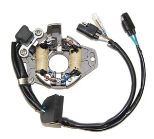 ElectroSport Stator ESC1060 für Lichtmaschine, 270-1060 - Bild 1 von 2