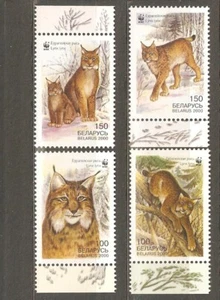 Belarus: full set of 4 stamps, WWF - Lynx, 2000, Mi#373-6, MNH - Picture 1 of 1