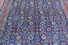 Tappeto Shirvan Azerbaijan