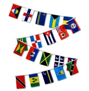 30ft Caribbean Countries String Flag Classroom Bunting 12x18in Pennants - Picture 1 of 1