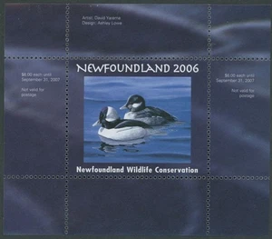 2006 CANADA-NEWFOUNDLAND & LABRADOR. CONSERVATION, BUFFLEHEAD, VD.#NLW13 - Picture 1 of 3