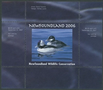 2006 CANADA-NEWFOUNDLAND & LABRADOR. CONSERVATION, BUFFLEHEAD, VD.#NLW13 - Image 1 of 3