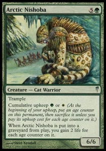 Arctic Nishoba - Medium Play MTG Coldsnap - Picture 1 of 1