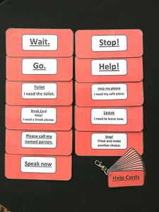 'I NEED HELP!' Situation/Guidance Cards - Autism  Dementia  Visual Behaviour Aid - Picture 1 of 25