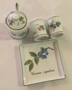 Apilco “Elysian Garden”Cruet.Salt,Pepper,Mustard Pot,Spoon & Tray.Made in France - Picture 1 of 10