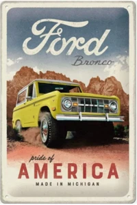 Ford Bronco Pannello Metallico 35030560 - Foto 1 di 3