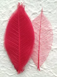 25 Skelett Blätter rot durchsichtig Blatt Weihnachten Hochzeitseinladungen Sammelalbum - Bild 1 von 5