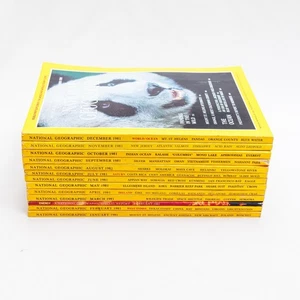 1981 Lot 13 National Geographic Magazine Full Year Includes Special Edition Nat - Picture 1 of 8