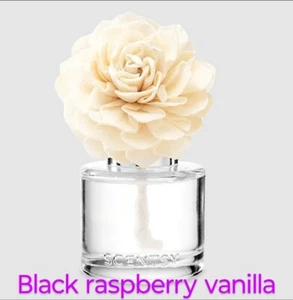 New Scentsy Fragrance Flower Diffuser - Black Raspberry Vanilla Dahlia Darling - Picture 1 of 14