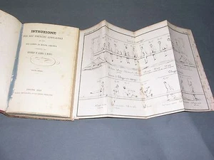 Gymnastique manuel en italien illustré de plches dépliantes torino 1849 reliure - Picture 1 of 4
