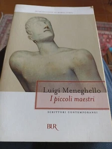 I PICCOLI MAESTRI DI LUIGI MENEGHELLO - Foto 1 di 1
