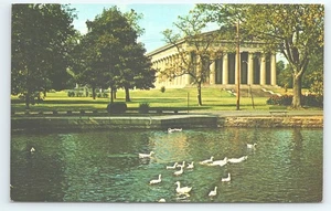 Cartolina Scena nel Centennial Park Nashville Tennesse Anatre Bianche Lago Watauga - Foto 1 di 3