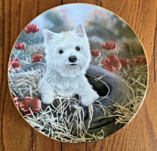 Danbury Mint "Tired Out" West Highland Terriers By Paul Doyle 8" Plate